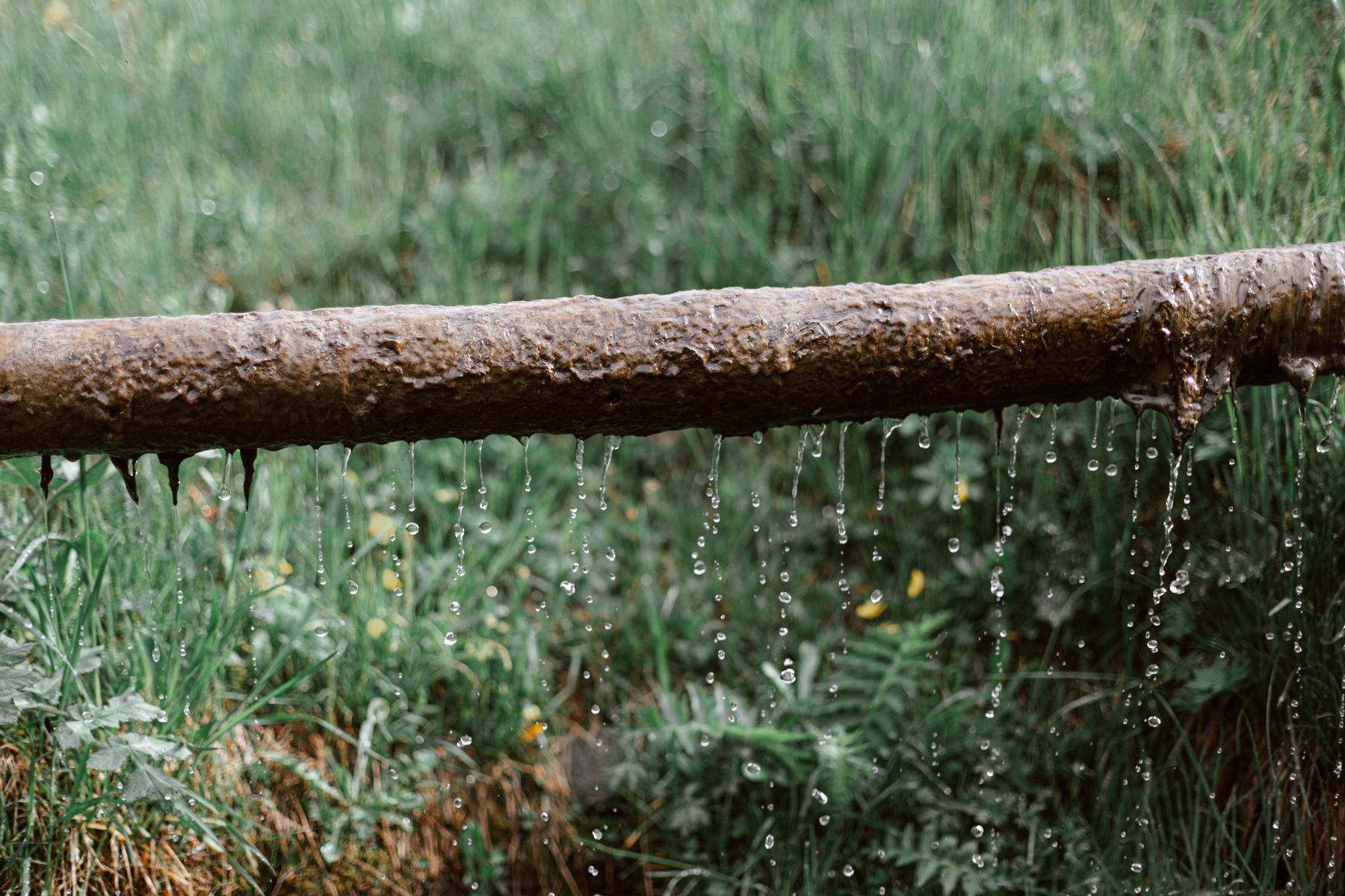 Corroded old steel pipe dripping water onto grass, a common reason for water line replacement in Albany OR